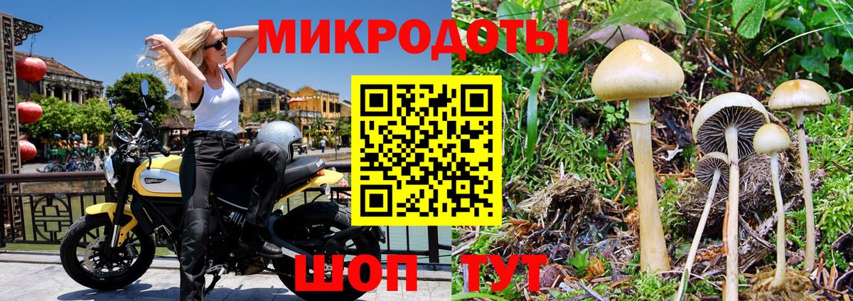Псилоцибиновые грибы Magic Shrooms Нижний Новгород