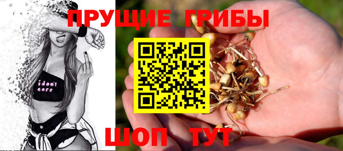 Псилоцибиновые грибы прущие грибы  Вход с VPN  Нижний Новгород  Галлюциногенные грибы Cubensis 