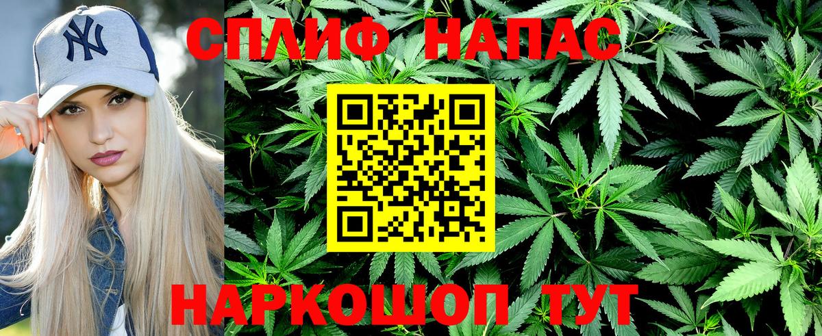 Каннабис Ganja  Каннабис Amnesia  МАРИХУАНА планчик  Вход с VPN  Нижний Новгород 